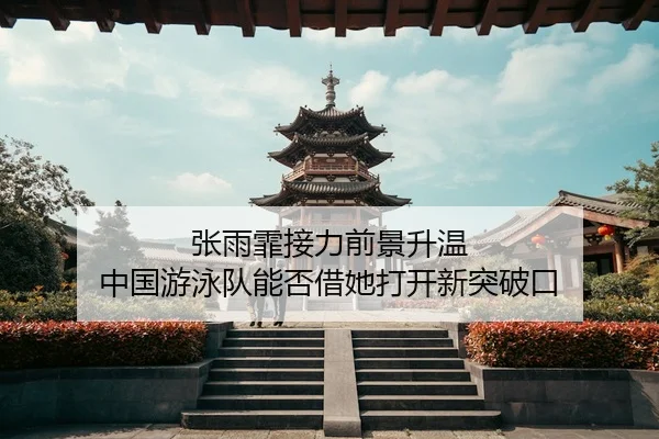 张雨霏接力前景升温 中国游泳队能否借她打开新突破口